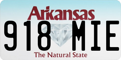 AR license plate 918MIE