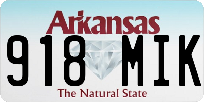 AR license plate 918MIK