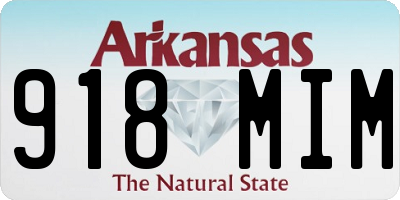 AR license plate 918MIM