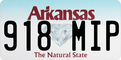 AR license plate 918MIP