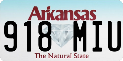 AR license plate 918MIU