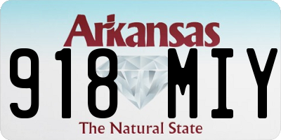 AR license plate 918MIY