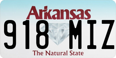 AR license plate 918MIZ