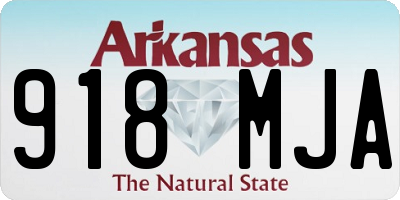 AR license plate 918MJA