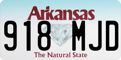 AR license plate 918MJD