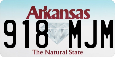 AR license plate 918MJM