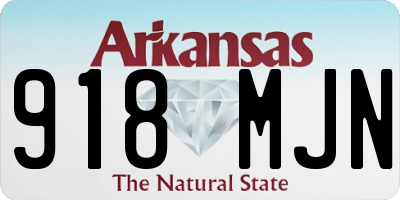 AR license plate 918MJN
