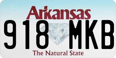 AR license plate 918MKB