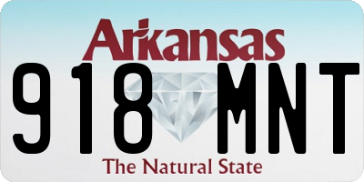 AR license plate 918MNT
