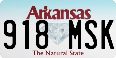 AR license plate 918MSK