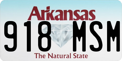 AR license plate 918MSM