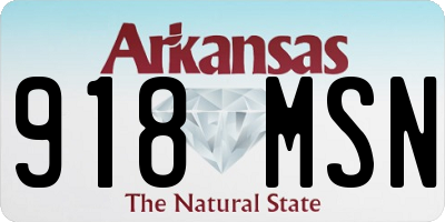 AR license plate 918MSN