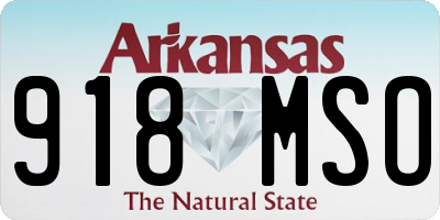 AR license plate 918MSO