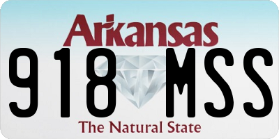 AR license plate 918MSS