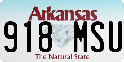 AR license plate 918MSU