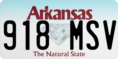 AR license plate 918MSV