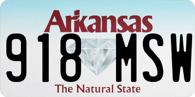 AR license plate 918MSW