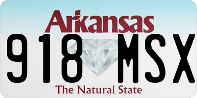 AR license plate 918MSX
