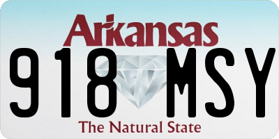 AR license plate 918MSY