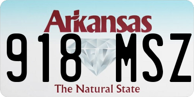 AR license plate 918MSZ