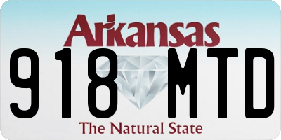 AR license plate 918MTD