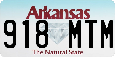 AR license plate 918MTM