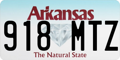 AR license plate 918MTZ