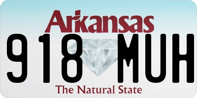 AR license plate 918MUH
