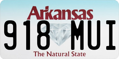 AR license plate 918MUI