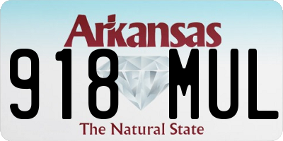 AR license plate 918MUL