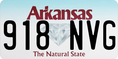 AR license plate 918NVG