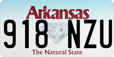 AR license plate 918NZU
