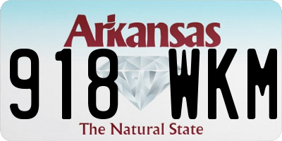 AR license plate 918WKM