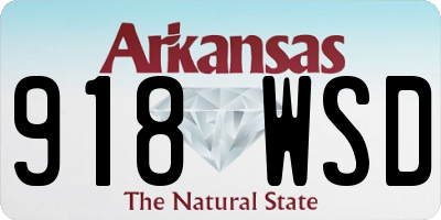 AR license plate 918WSD