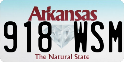 AR license plate 918WSM