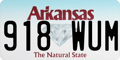 AR license plate 918WUM