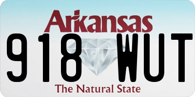 AR license plate 918WUT