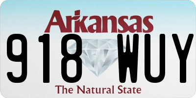 AR license plate 918WUY