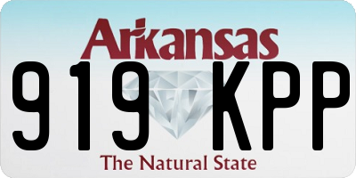 AR license plate 919KPP