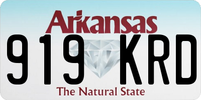AR license plate 919KRD