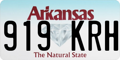 AR license plate 919KRH