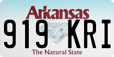 AR license plate 919KRI
