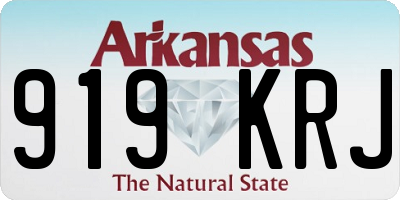AR license plate 919KRJ