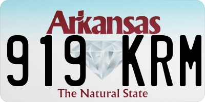 AR license plate 919KRM