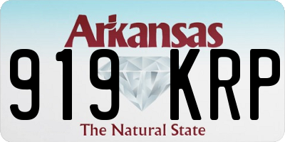 AR license plate 919KRP