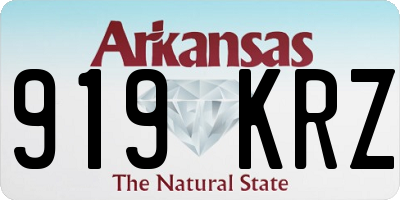 AR license plate 919KRZ