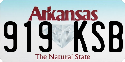 AR license plate 919KSB