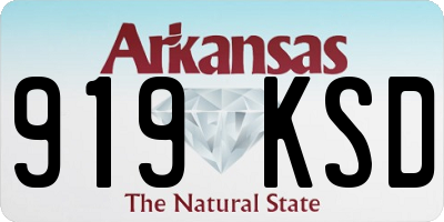 AR license plate 919KSD