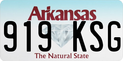 AR license plate 919KSG
