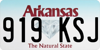 AR license plate 919KSJ